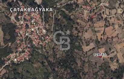 Muğla Menteşe Çatakbağyaka Mahallesinde Satılık Tarla