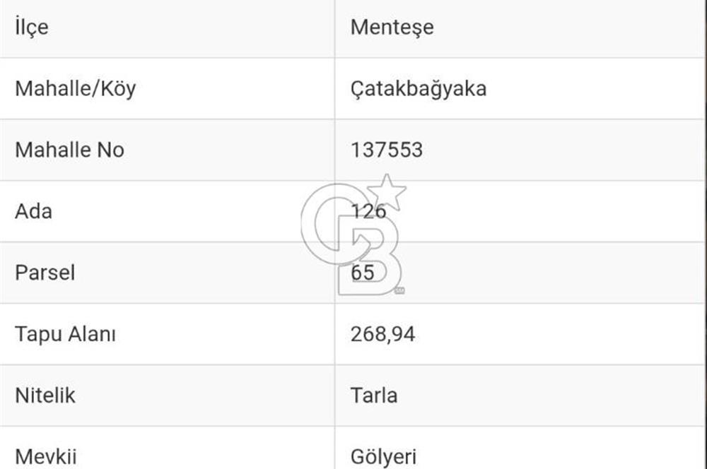 Muğla Menteşe Çatakbağyaka Mahallesinde Satılık Tarla