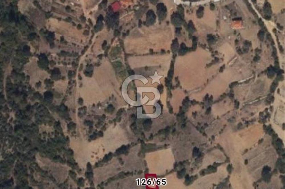 Muğla Menteşe Çatakbağyaka Mahallesinde Satılık Tarla