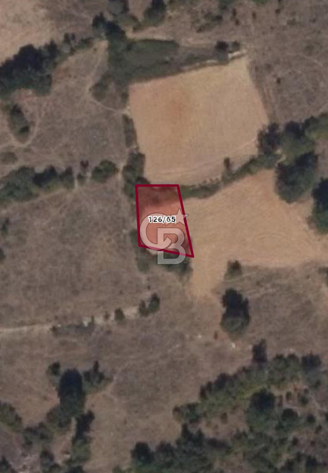 Muğla Menteşe Çatakbağyaka Mahallesinde Satılık Tarla