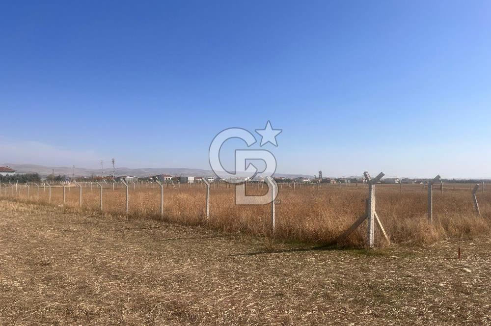 Cb Vizyon Tuğba ERKAL'dan Yatırım Avantajlı 3 Dönüm Arsa