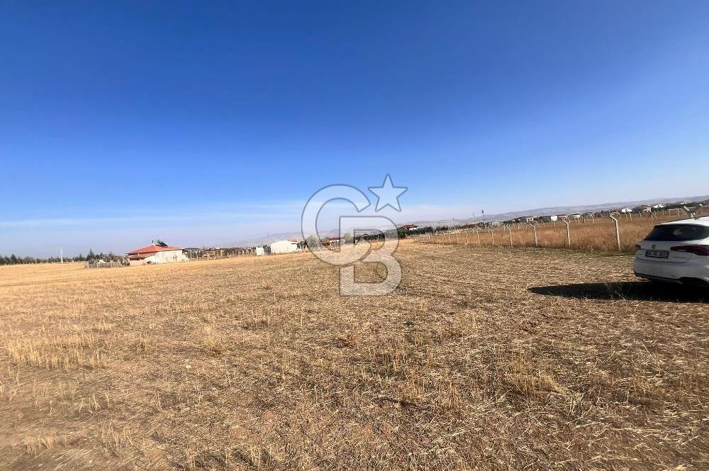 Cb Vizyon Tuğba ERKAL'dan Yatırım Avantajlı 3 Dönüm Arsa