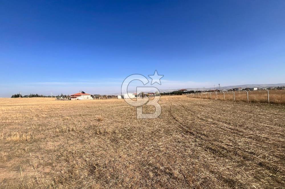 Cb Vizyon Tuğba ERKAL'dan Yatırım Avantajlı 3 Dönüm Arsa