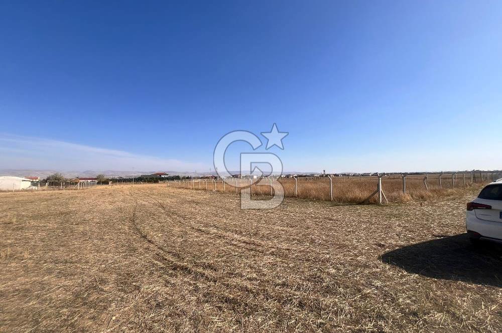 Cb Vizyon Tuğba ERKAL'dan Yatırım Avantajlı 3 Dönüm Arsa