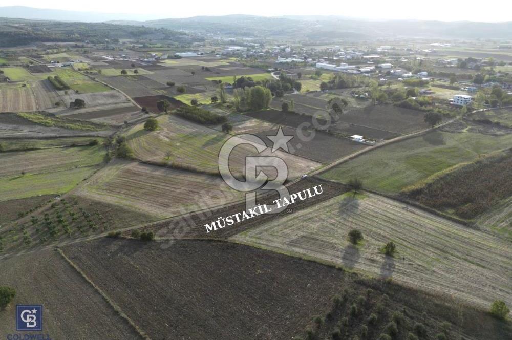 MUDANYA ÇEKRİCE KÖYÜNDE SATILIK TEK TAPULU 2.250 M² TARLA