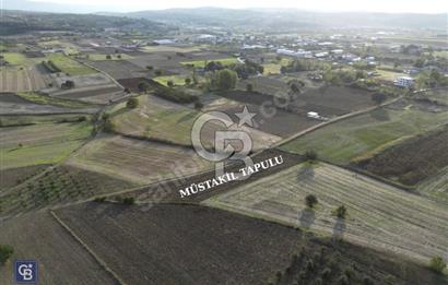 MUDANYA ÇEKRİCE KÖYÜNDE SATILIK TEK TAPULU 2.250 M² TARLA