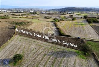 MUDANYA ÇEKRİCE KÖYÜNDE SATILIK TEK TAPULU 2.250 M² TARLA - 1 - 312195