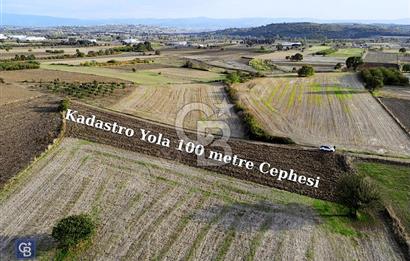 MUDANYA ÇEKRİCE KÖYÜNDE SATILIK TEK TAPULU 2.250 M² TARLA