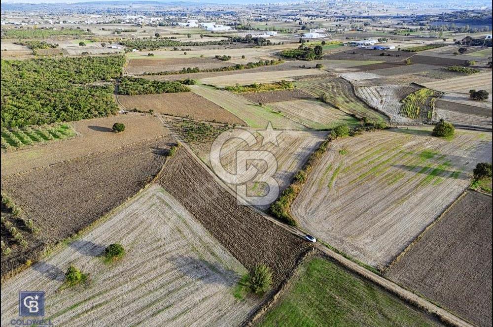 MUDANYA ÇEKRİCE KÖYÜNDE SATILIK TEK TAPULU 2.250 M² TARLA