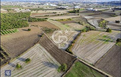 MUDANYA ÇEKRİCE KÖYÜNDE SATILIK TEK TAPULU 2.250 M² TARLA