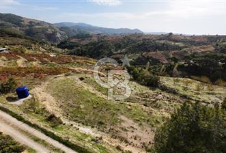 İzmir Kavacıkta Satılık Bağ - 5 - 312215