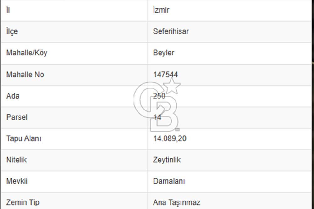 Seferihisar beyler köyünde satılık 14,973 m2 tek tapu zeytinlik
