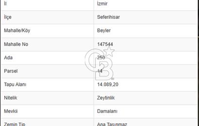 Seferihisar beyler köyünde satılık 14,973 m2 tek tapu zeytinlik