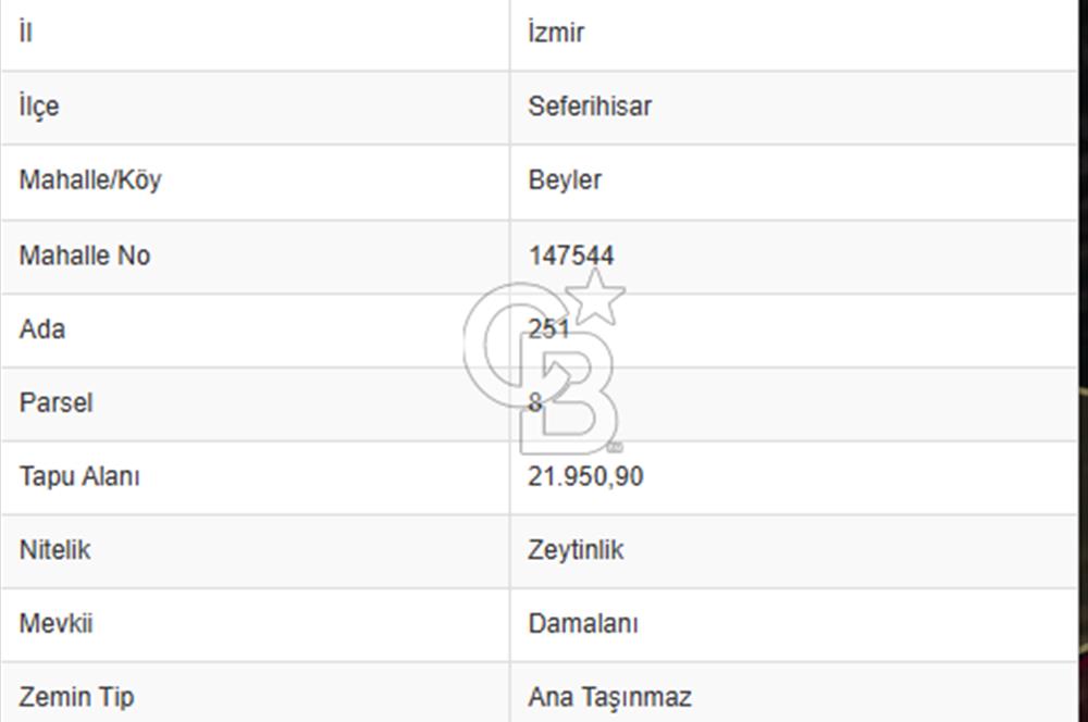 seferihisar beyler köyünde satılık 20,726 m2 tek tapu zeytinlik