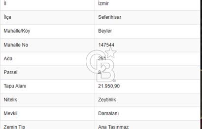 seferihisar beyler köyünde satılık 20,726 m2 tek tapu zeytinlik