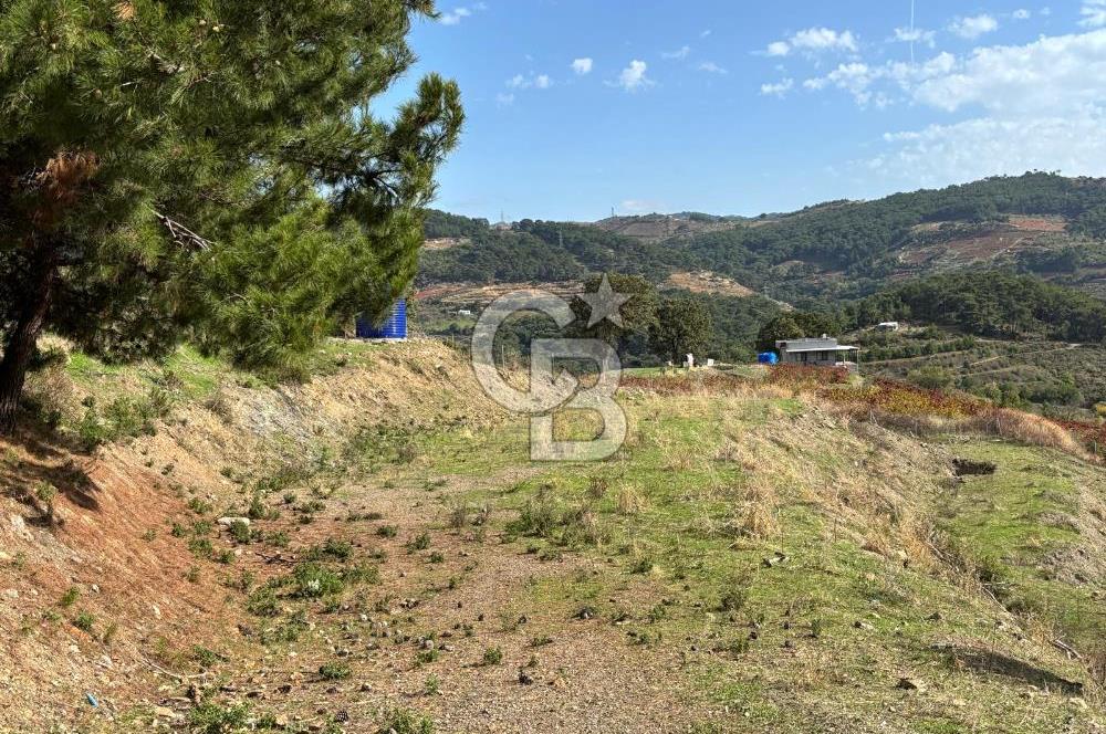 İzmir Kavacıkta Satılık Bağ