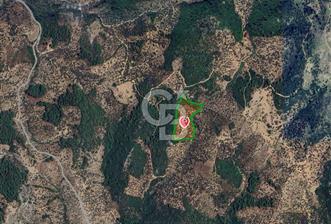 seferihisar beyler köyünde satılık 20,726 m2 tek tapu zeytinlik - 4 - 312217