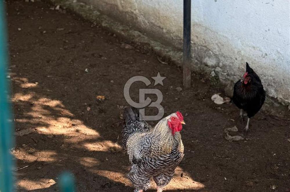 ÇATALCA ÇAKIL'DA YAPI KAYITLI HAVUZLU 3+1 MÜSTAKİL EV