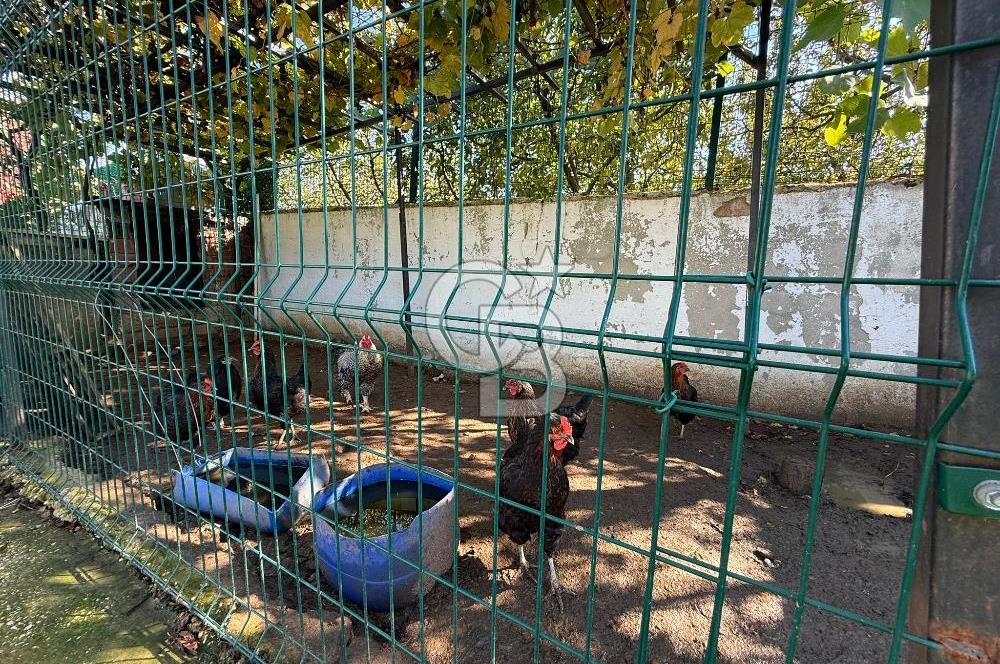 ÇATALCA ÇAKIL'DA YAPI KAYITLI HAVUZLU 3+1 MÜSTAKİL EV