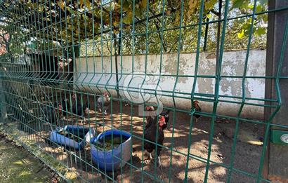 ÇATALCA ÇAKIL'DA YAPI KAYITLI HAVUZLU 3+1 MÜSTAKİL EV