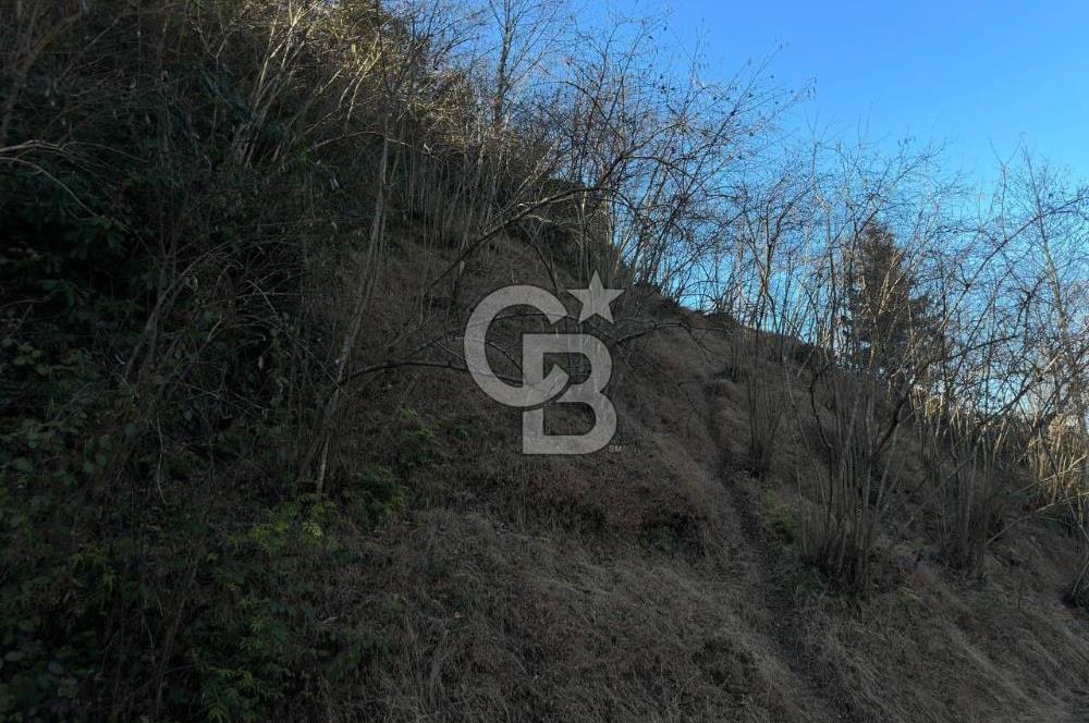 TRABZON ARSİN YENİMAHALLE SATILIK ARSA 