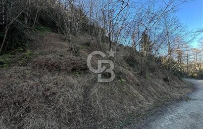 TRABZON ARSİN YENİMAHALLE SATILIK ARSA 