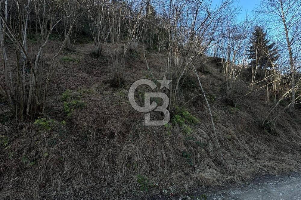 TRABZON ARSİN YENİMAHALLE SATILIK ARSA 