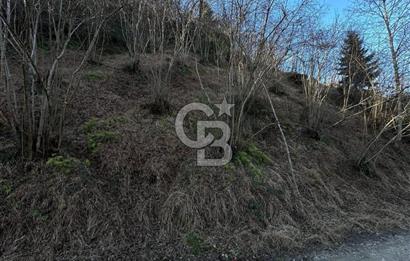 TRABZON ARSİN YENİMAHALLE SATILIK ARSA 