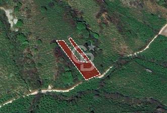 TRABZON ARSİN YENİMAHALLE SATILIK ARSA  - 3 - 312321