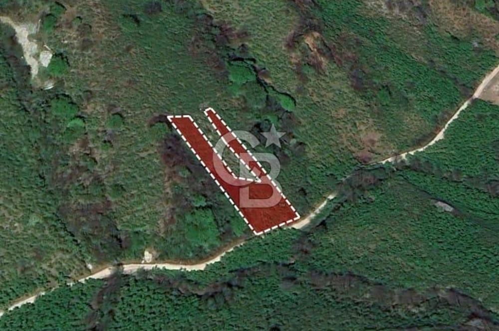 TRABZON ARSİN YENİMAHALLE SATILIK ARSA 