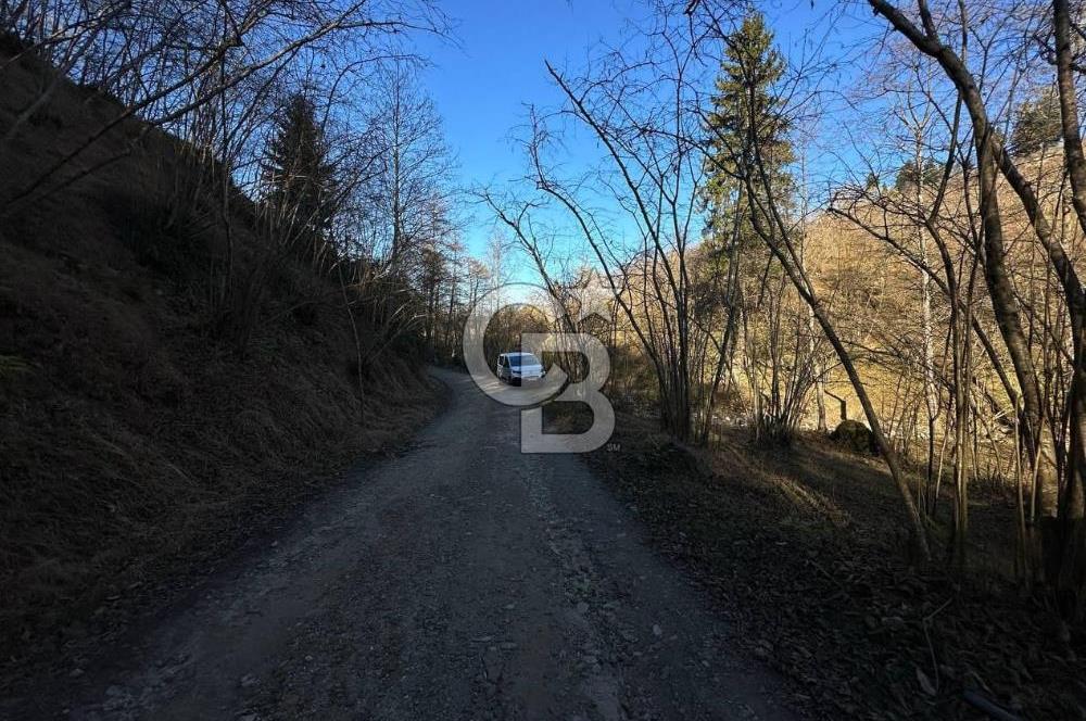 TRABZON ARSİN YENİMAHALLE SATILIK ARSA 