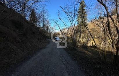 TRABZON ARSİN YENİMAHALLE SATILIK ARSA 