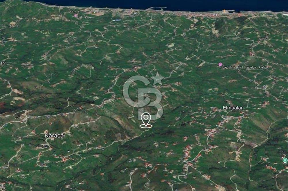 TRABZON ARSİN YENİMAHALLE SATILIK ARSA 