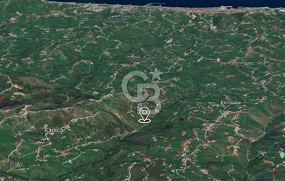 TRABZON ARSİN YENİMAHALLE SATILIK ARSA 