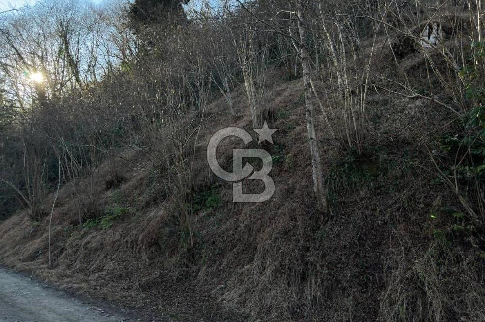 TRABZON ARSİN YENİMAHALLE SATILIK ARSA 