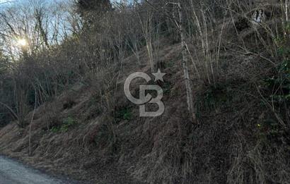 TRABZON ARSİN YENİMAHALLE SATILIK ARSA 