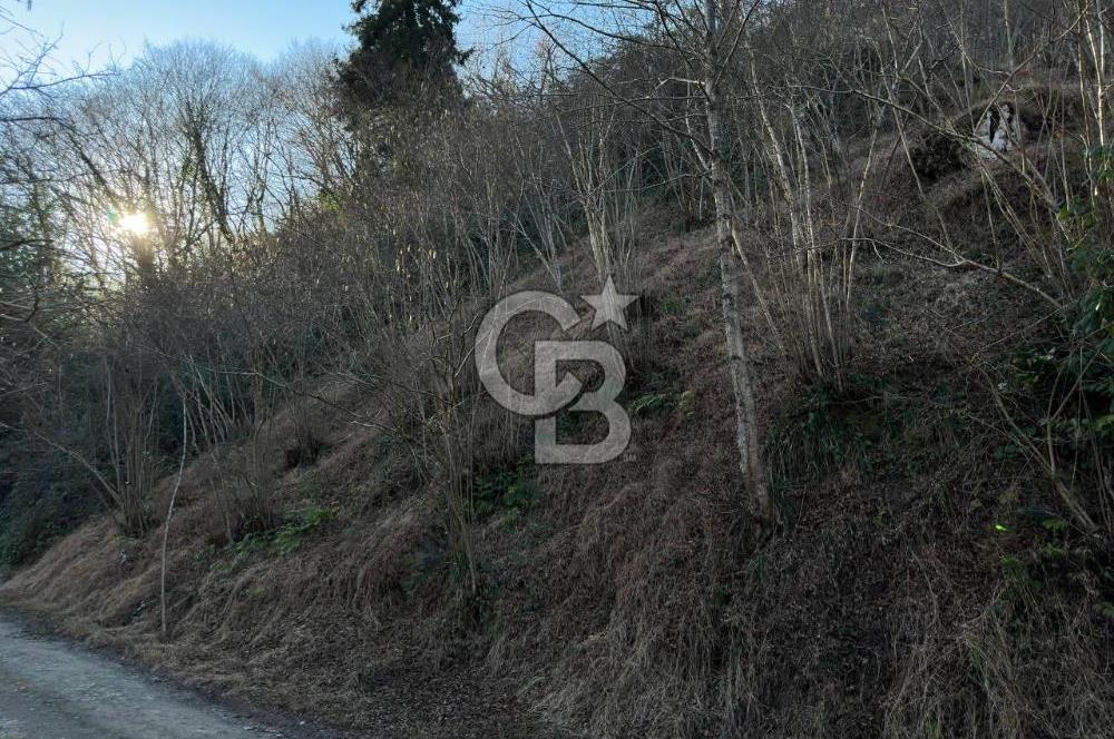 TRABZON ARSİN YENİMAHALLE SATILIK ARSA 