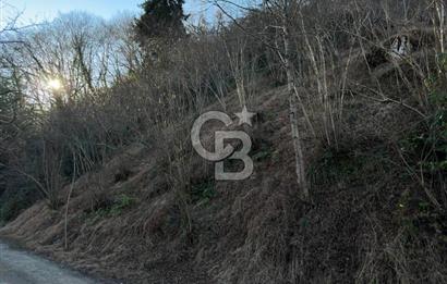 TRABZON ARSİN YENİMAHALLE SATILIK ARSA 