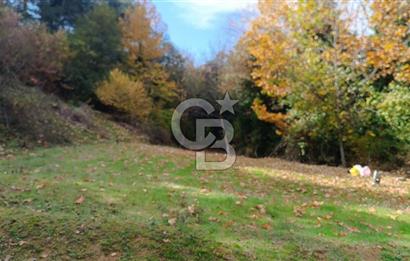 ÖDEMİŞ HORZUMDA SATILIK MUHTEŞEM BAHÇE 