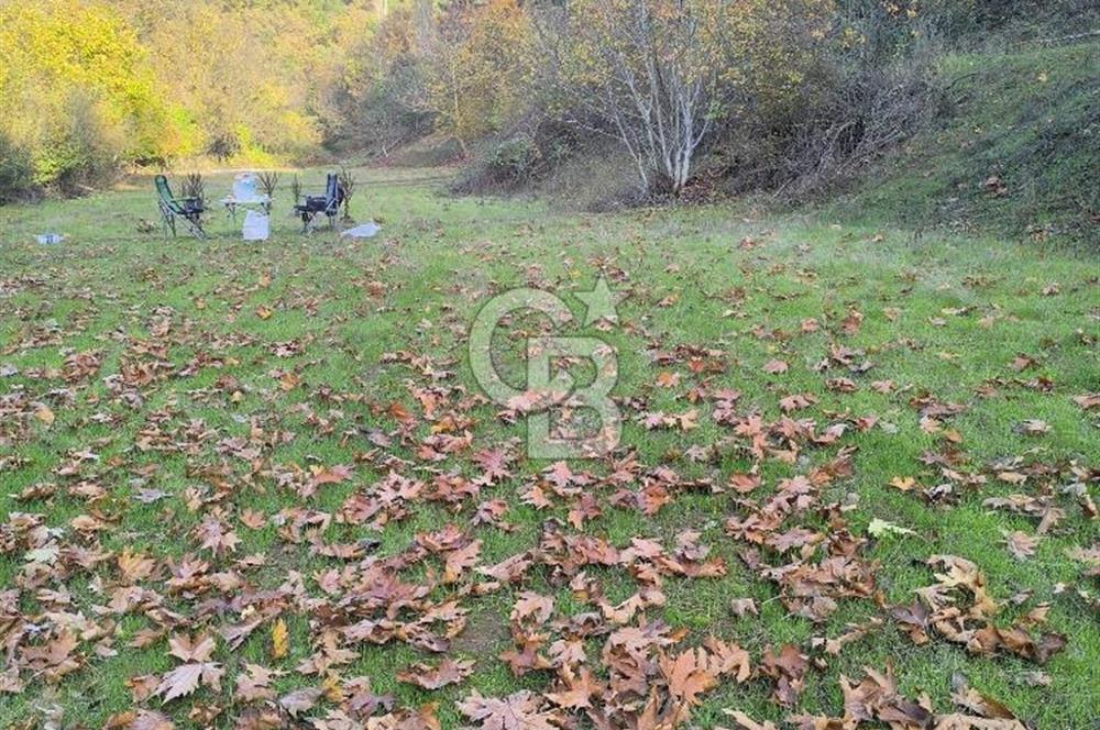 ÖDEMİŞ HORZUMDA SATILIK MUHTEŞEM BAHÇE 