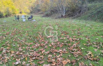 ÖDEMİŞ HORZUMDA SATILIK MUHTEŞEM BAHÇE 