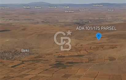 Uşak Karahallı Beki Köyü'nde 1.486 M² Satılık Tarla