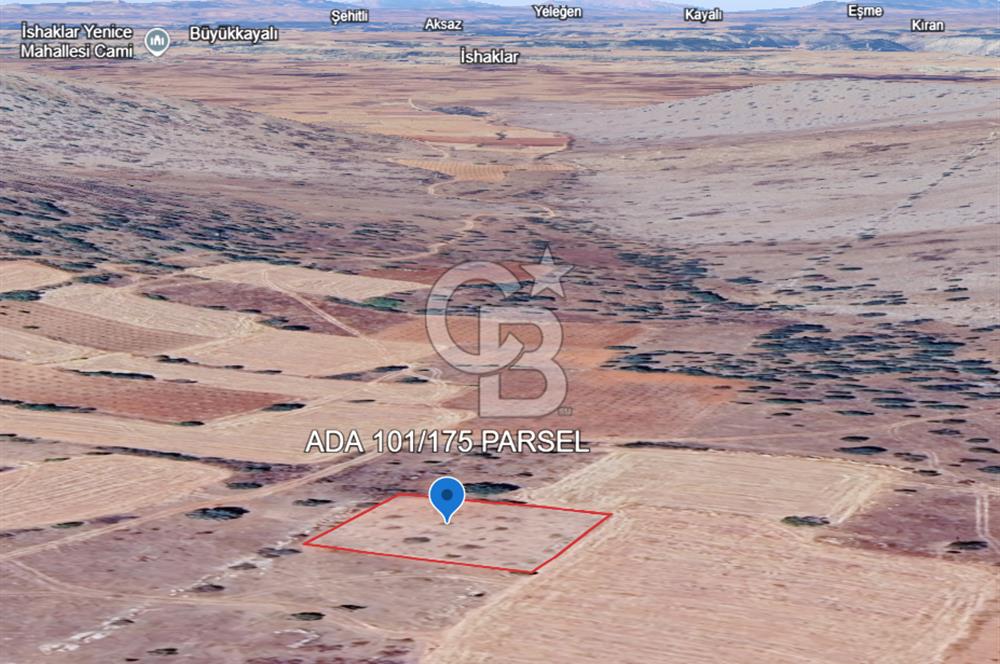 Uşak Karahallı Beki Köyü'nde 1.486 M² Satılık Tarla