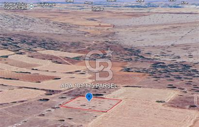 Uşak Karahallı Beki Köyü'nde 1.486 M² Satılık Tarla