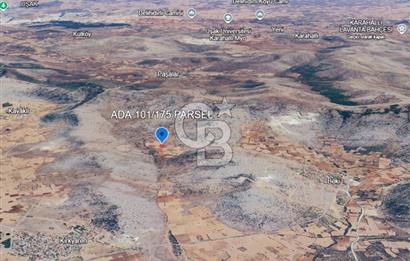 Uşak Karahallı Beki Köyü'nde 1.486 M² Satılık Tarla