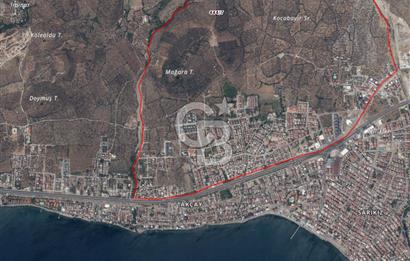 EDREMİT KIZILKEÇİLİ TEK TAPU DENİZE 2 KM YOLA CEPHE ZEYTİNLİK