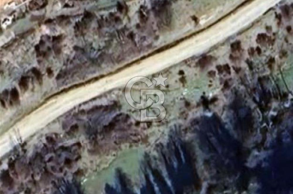 ÖDEMİŞ HORZUMDA SATILIK MUHTEŞEM BAHÇE 