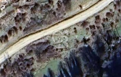 ÖDEMİŞ HORZUMDA SATILIK MUHTEŞEM BAHÇE 