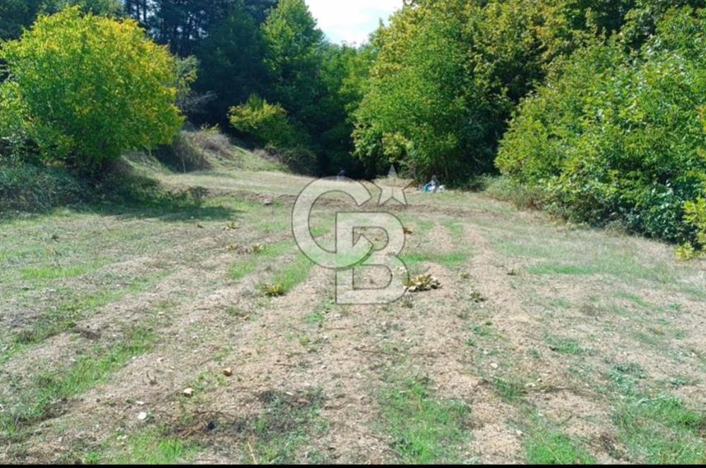 ÖDEMİŞ HORZUMDA SATILIK MUHTEŞEM BAHÇE 