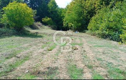 ÖDEMİŞ HORZUMDA SATILIK MUHTEŞEM BAHÇE 